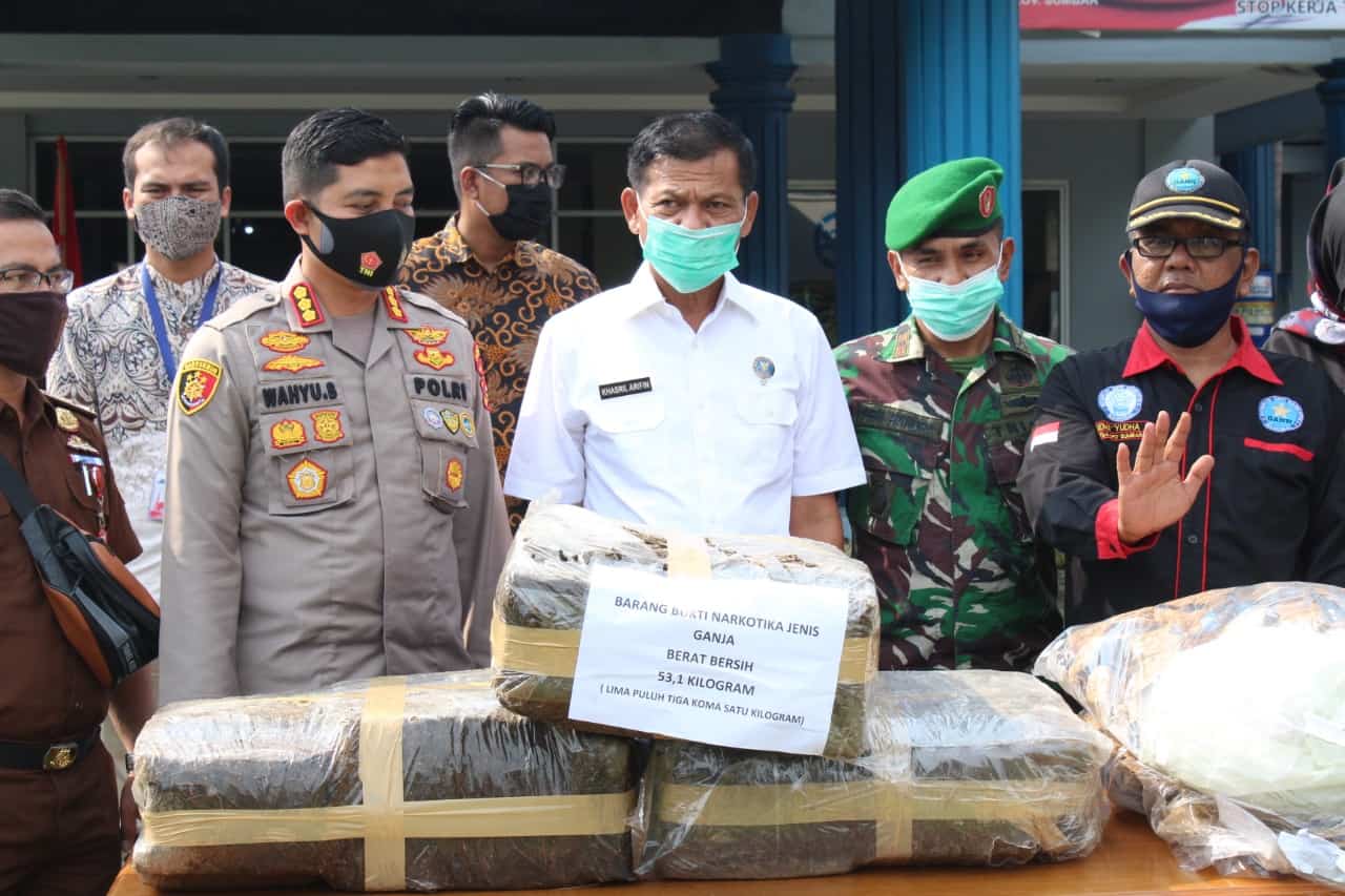 BNN PROV SUMBAR MUSNAHKAN 53,1 KG GANJA