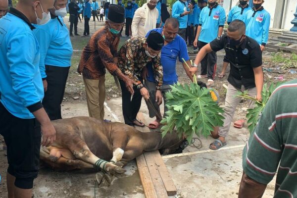 BADAN NARKOTIKA NASIONAL PROVINSI SUMATERA BARAT LAKSANAKAN QURBAN