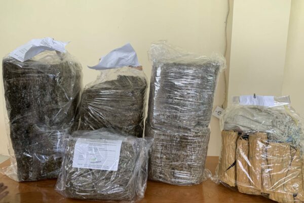 PRESS RELEASE PENGUNGKAPAN GANJA 22 KG DI BUKITTINGGI
