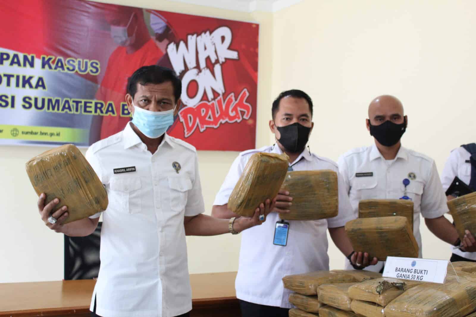 DALAM 1 HARI BNNP SUMBAR UNGKAP PEREDARAN 80KG NARKOTIKA JENIS GANJA