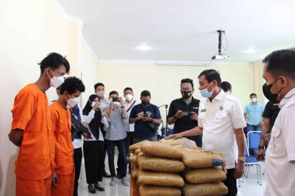 DALAM 1 HARI BNNP SUMBAR UNGKAP PEREDARAN 80KG NARKOTIKA JENIS GANJA